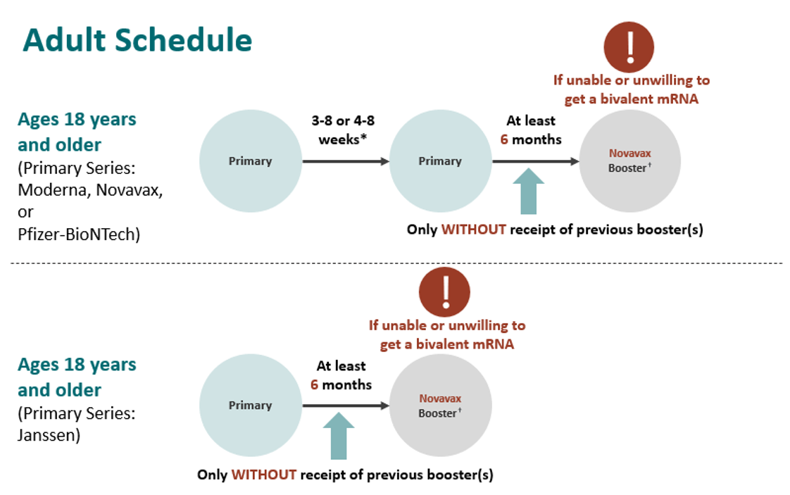 novavax-02-adult-schedule-cdc.png COVID-19 vaccination schedule for adults who are not moderately or severely immunocompromised and are unable or unwilling to get a bivalent mRNA booster.