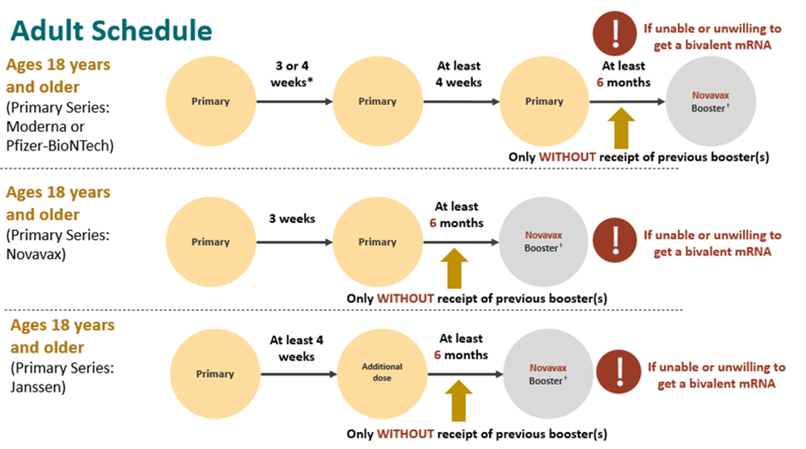 novavax-04-adult-schedule-cdc.png COVID-19 vaccination schedule for adults who are moderately or severely immunocompromised and are unable or unwilling to receive a bivalent mRNA booster.