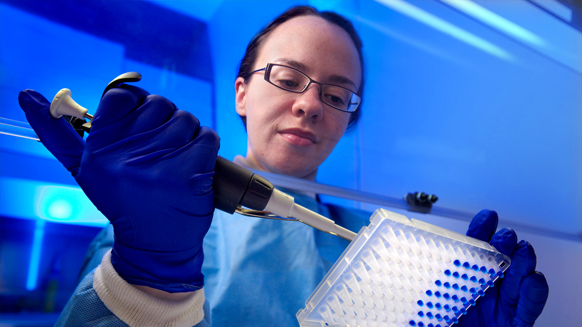 metagenomics-haystack-1200 A CDC microbiologist, wearing a protective bio-hazard suit, works inside a ventilated hood. She uses a mechanical pipette to insert samples into 96-well plate for sequencing.