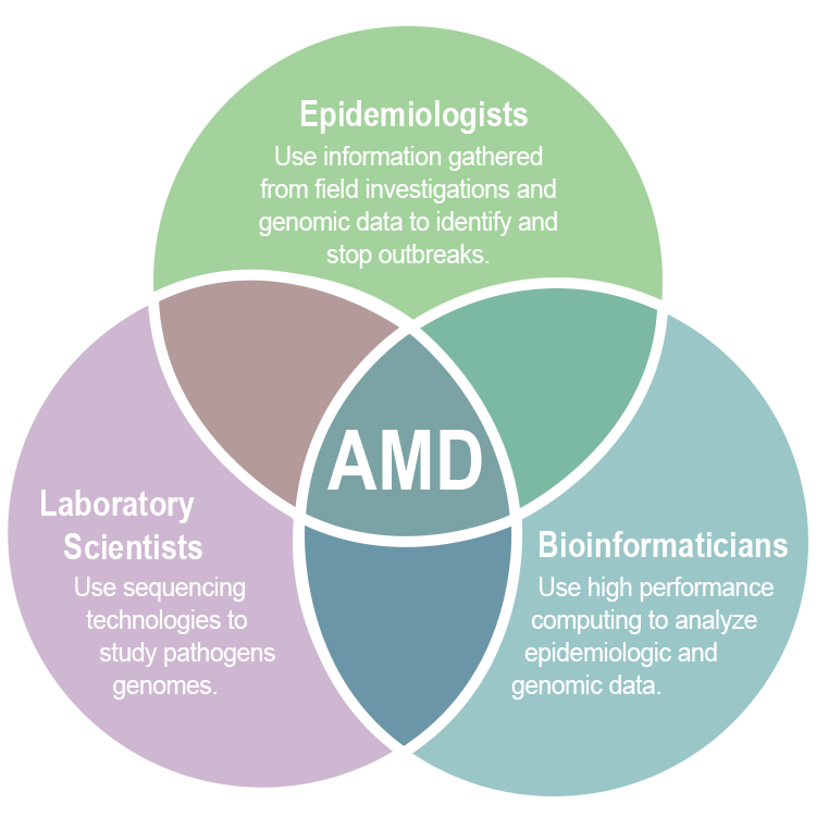 Venn diagram AMD Venn Diagram
