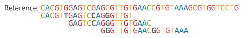 Analysis A series of letters representing a reference genome is compared to three slightly different lines of DNA data