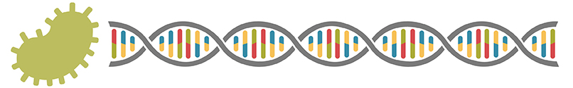Extraction Colorful DNA strand heading away from green microbe as though being pulled out