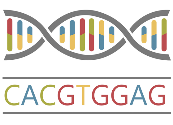 sequencethumbnail1123.jpg Illustration of a simplified DNA structure above a set of letters representing reading the DNA's sequence