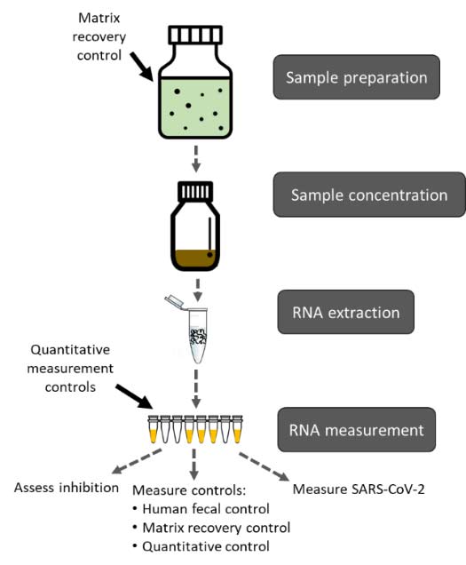 wastewater-sample-processing Wastewater-based disease surveillance is a rapidly developing science. Find out more on the Wastewater Surveillance Testing Methods page.