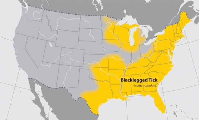 Map of United States with states with blacklegged ticks highlighted.