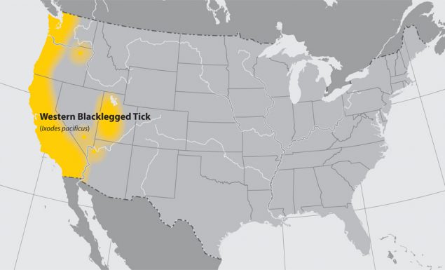 -- title missing -- Map of United States with states with blacklegged ticks highlighted in yellow.