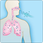 an illustration of a person breathing in anthrax spores