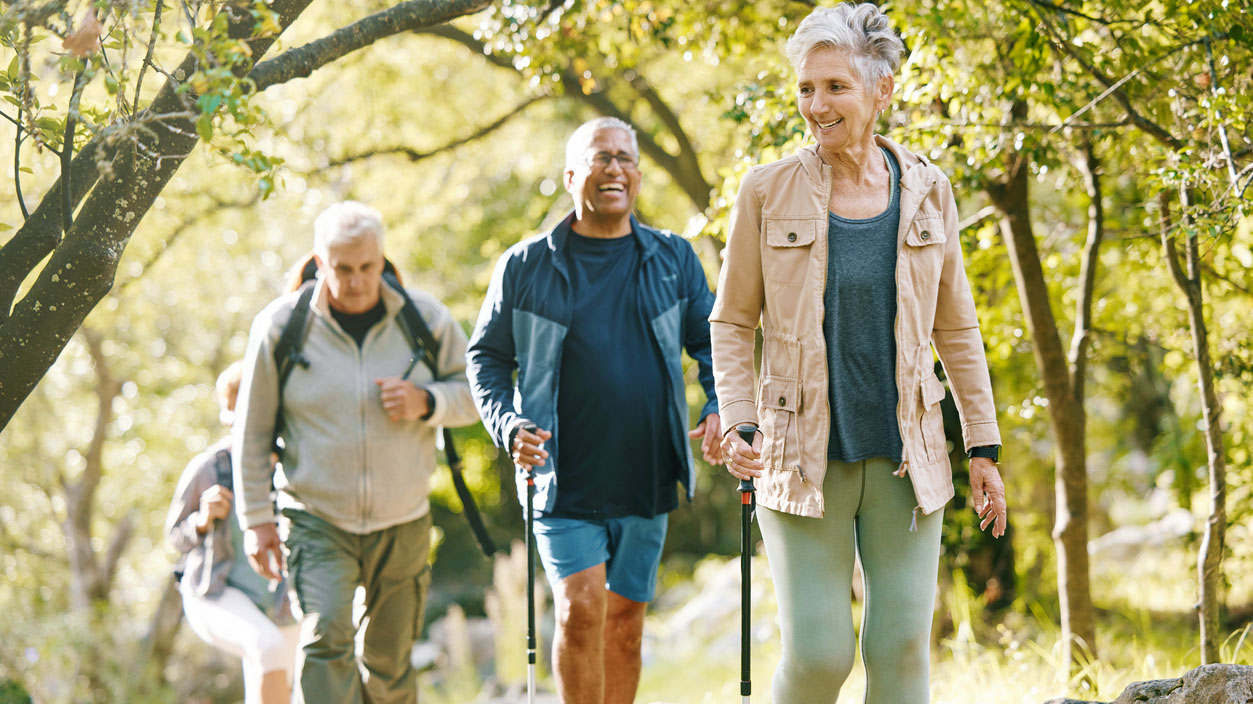 Hiking adults in nature together A group of four adults hiking in nature together