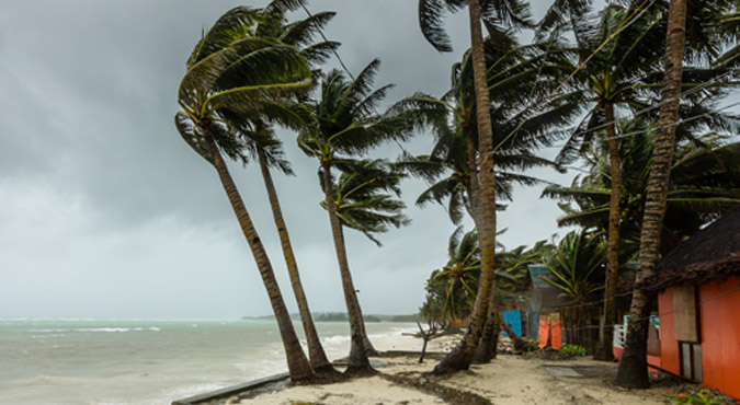 asthma-disaster-preparation High winds from severe weather blows trees