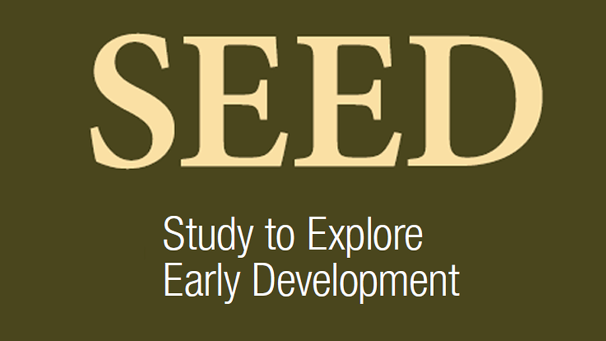 SEED banner logo