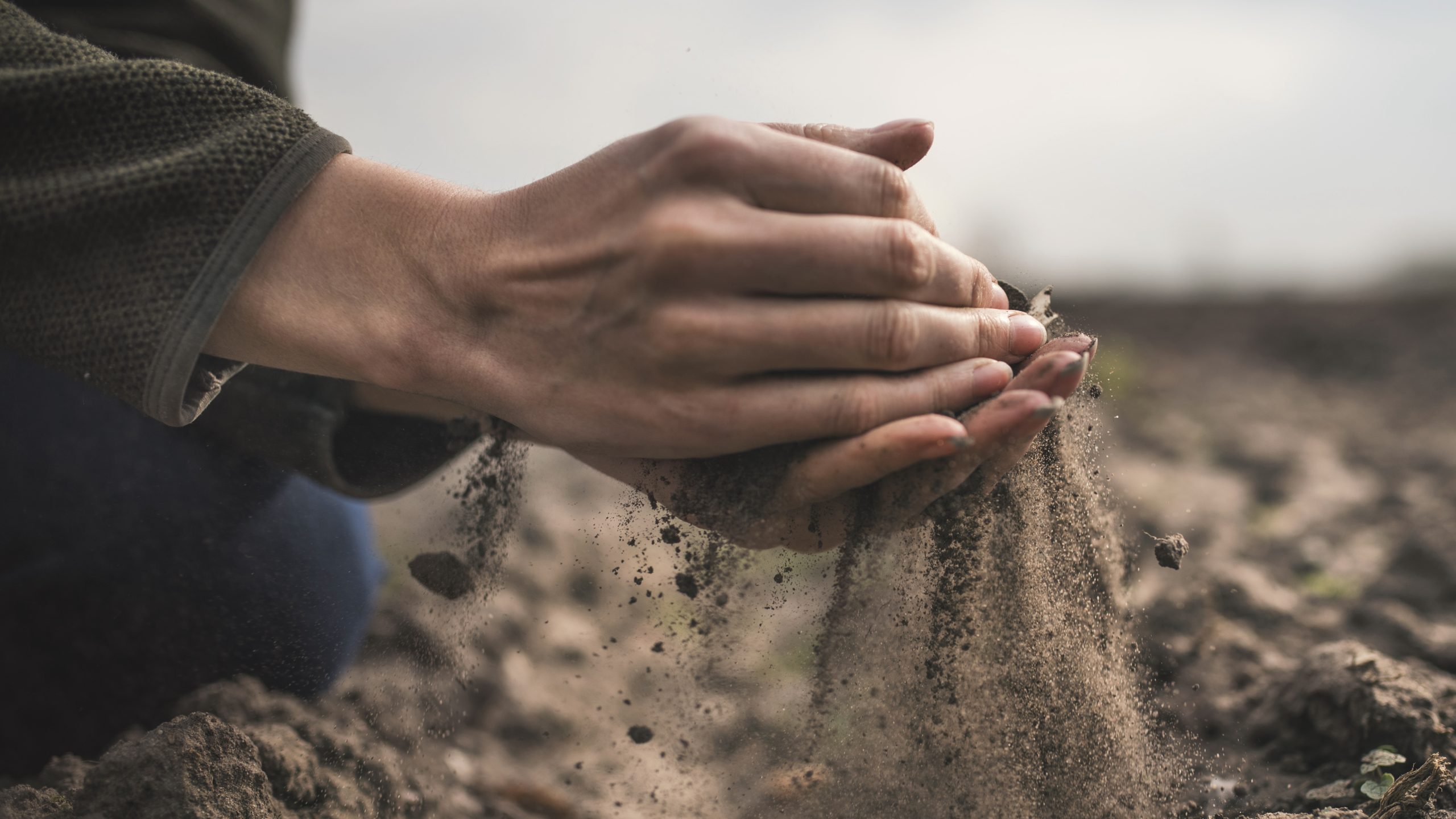 -- title missing -- Closeup of a woman's hands sifting dirt.