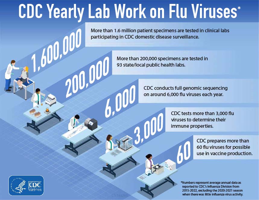 CDC Yearly Lab Work on Flu Viruses* CDC conducts laboratory work on influenza viruses year-round.
