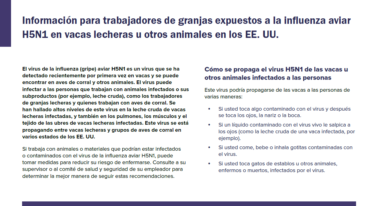 Information for farm workers exposed to H5N1 bird flu in US dairy cows and other animals in the Spanish language.