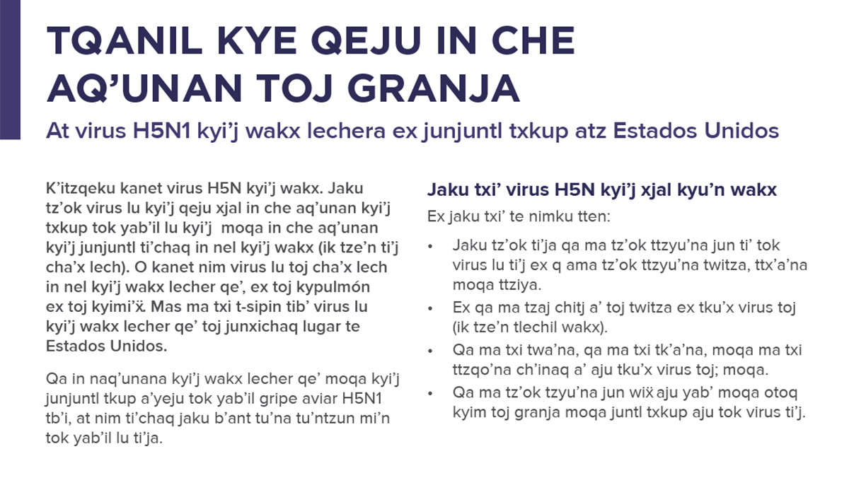 Information for Farm Workers exposed to H5N1 Bird Flu in US Dairy Cows and Other Animals in the Mamean language.