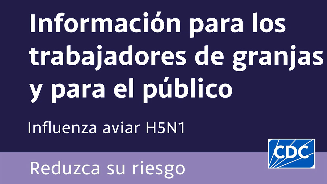 H5N1: aprenda medidas preventivas H5N1: aprenda medidas preventivas