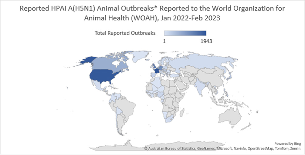 * WOAH defines an outbreak as an occurrence of one or more cases in a group of animals with a defined epidemiologic relationship therefore outbreak numbers don’t reflect the quantity of animal affected. world map showing total reported outbreaks 1- 1943 with text Reported HPAI A(H5N1) Animal Outbreaks to the World Organization for Animal Health (WHOAH), Jan 2022-Feb 2023