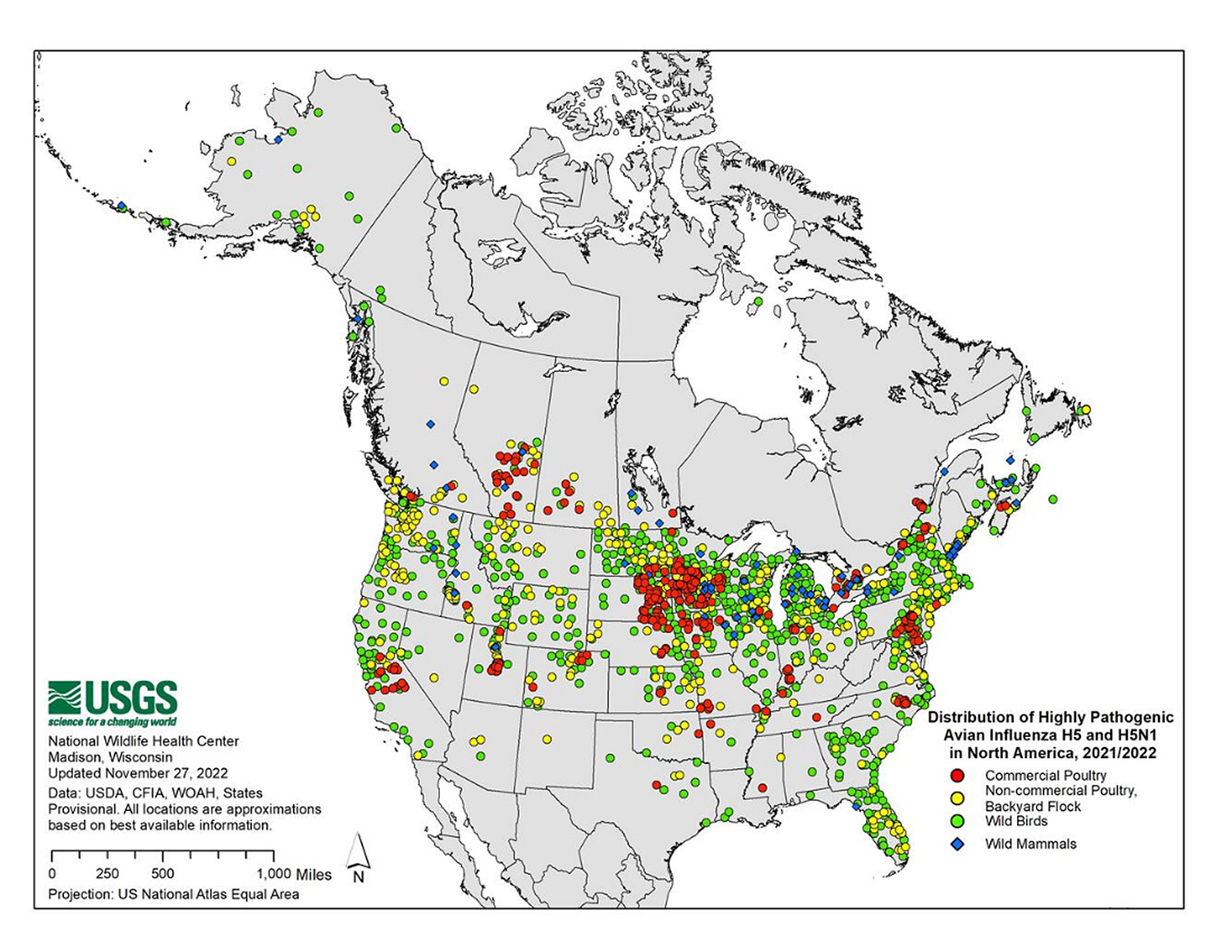 Distribution of Highly Pathogenic Avian Influenza in North America, 2021/2022 | U.S. Geological Survey (usgs.gov) map of North America with different color dots showing the Distribution of Highly Pathogenic Avian Influenza H5 an H5N1 in North America, 2021/2022