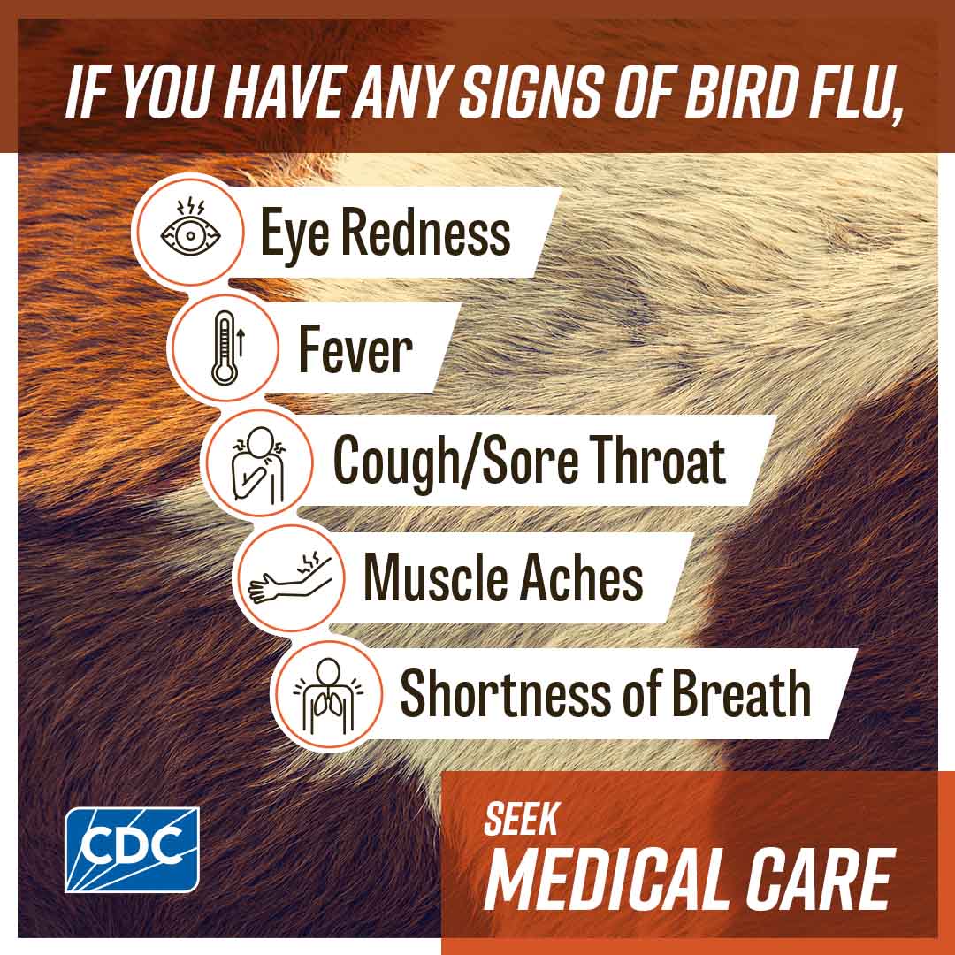 Sign that says "if you have any signs of bird flu, seek medical care."