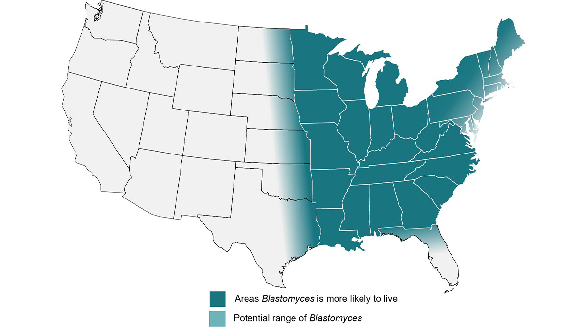 Approximate areas with the presence of Blastomyces worldwide