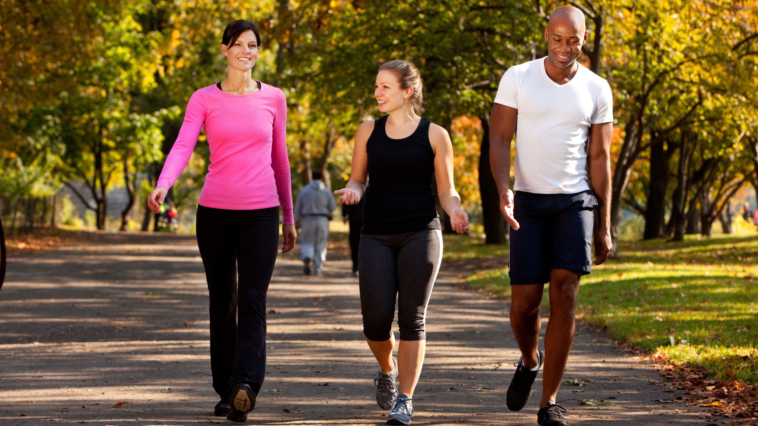 Group of Walkers Two physically fit women walking on a trail with a physically fit man.