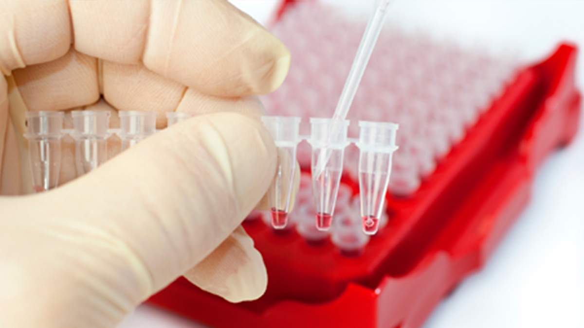 Genetic Testing Una persona que lleva guantes sosteniendo tubos de ensayo