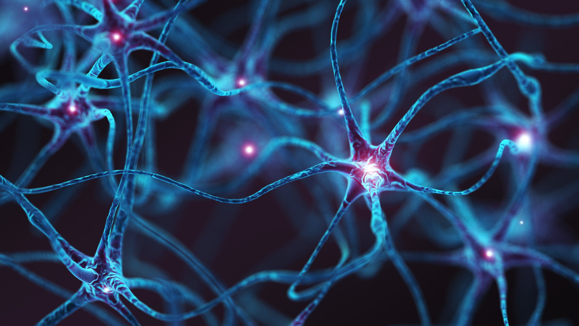 Neurons Blue colored nerve cells interconnected firing red signals to each other.
