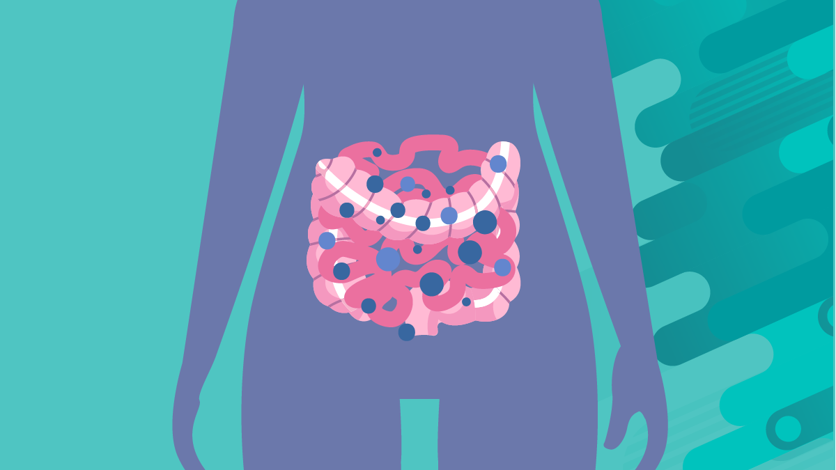 Candida in body illustration of intestines with candida inside