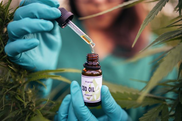 — title missing — Gloved hands holding dropper above a bottle labeled 'CBD OIL'.