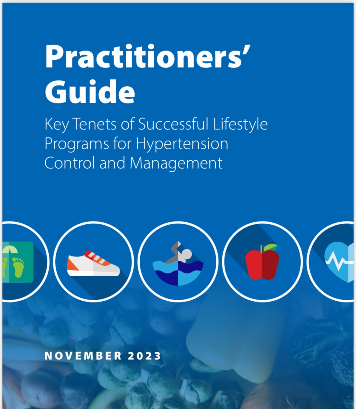 Practitioner's Guide Image of Practitioner's Guide cover