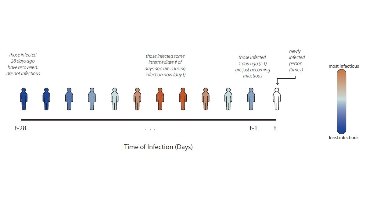 Infectiousness over time Chart showing infectivity over time