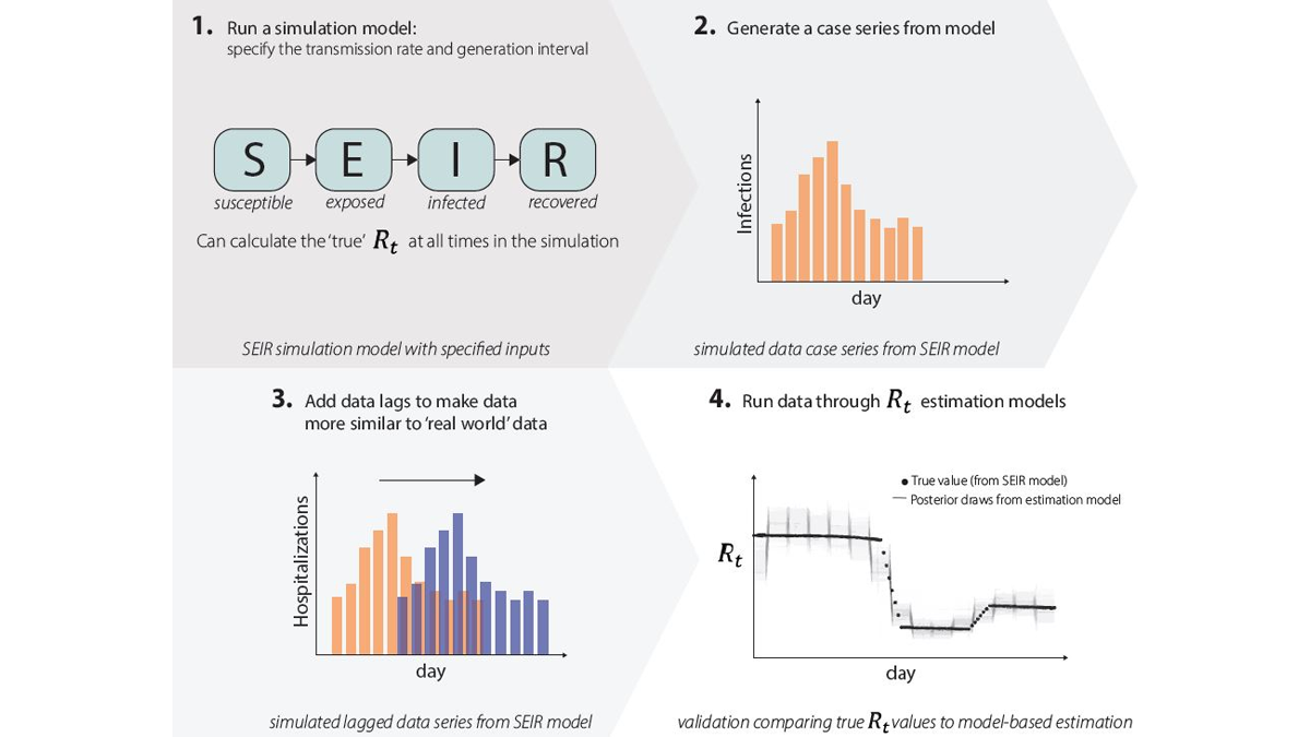 Model Validation Image showing mechanism for validating Rt estimates with simulation results.