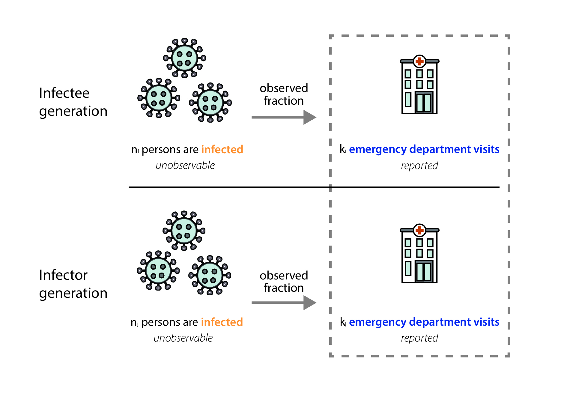 Figure8_new Image showing that the fraction of infections that we observe in emergency department visit data equivalently impacts both the numerator and the denominator