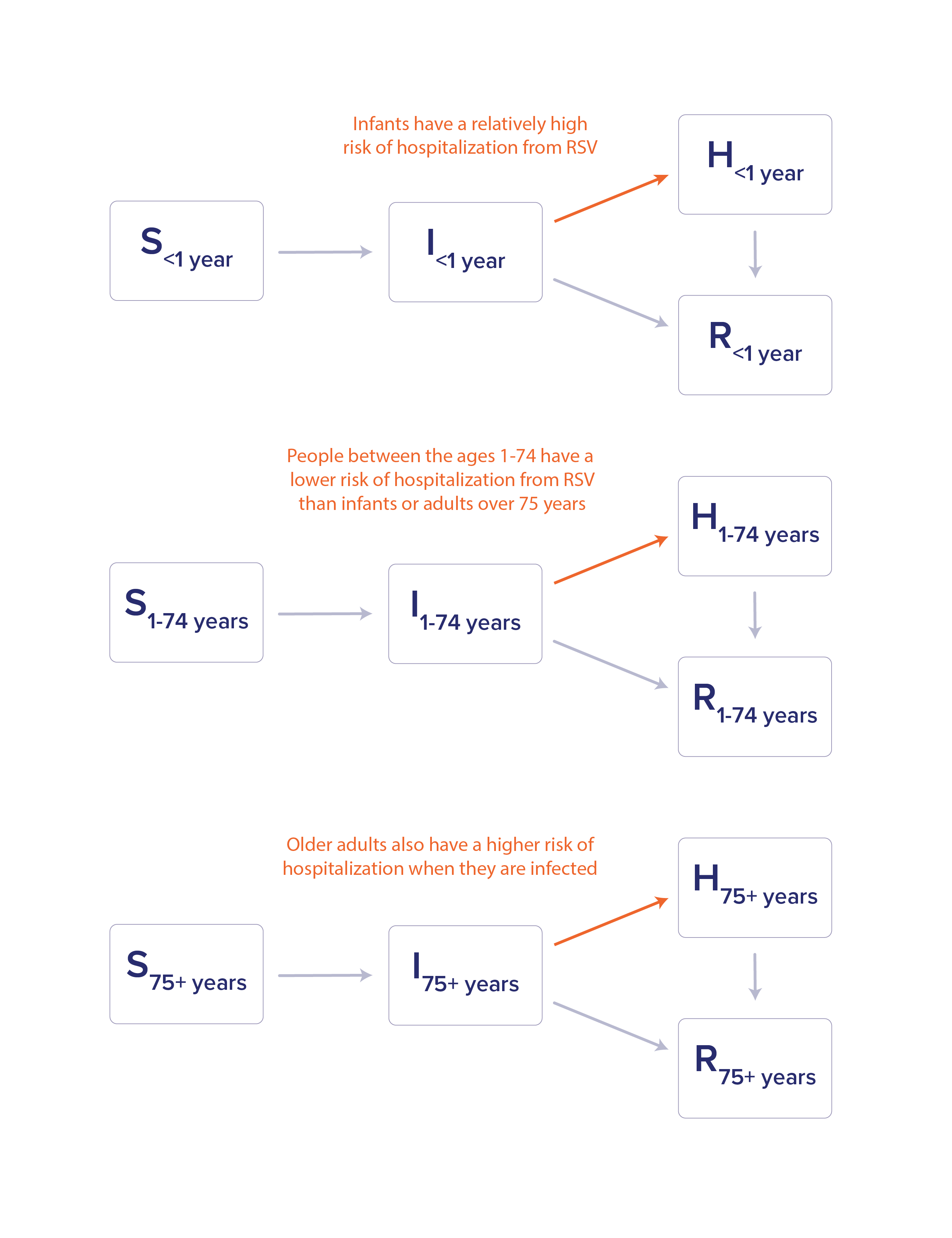 TE: fig 2 An SIR model diagram with an additional Hospitalized compartment with three age groups: infant, adult, and >75 years.
