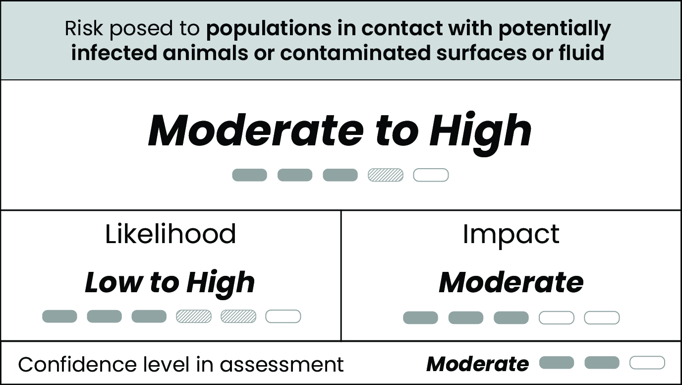 H5N1 Risk Animal Contact Table displaying low to high likelihood, moderate impact, moderate to high risk, and moderate confidence for risk posed to the general U.S. population by H5N1 viruses
