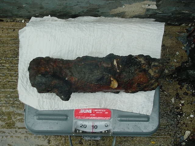 Corroded mortar A recovered mortar showing corrosion after years of environmental exposure.