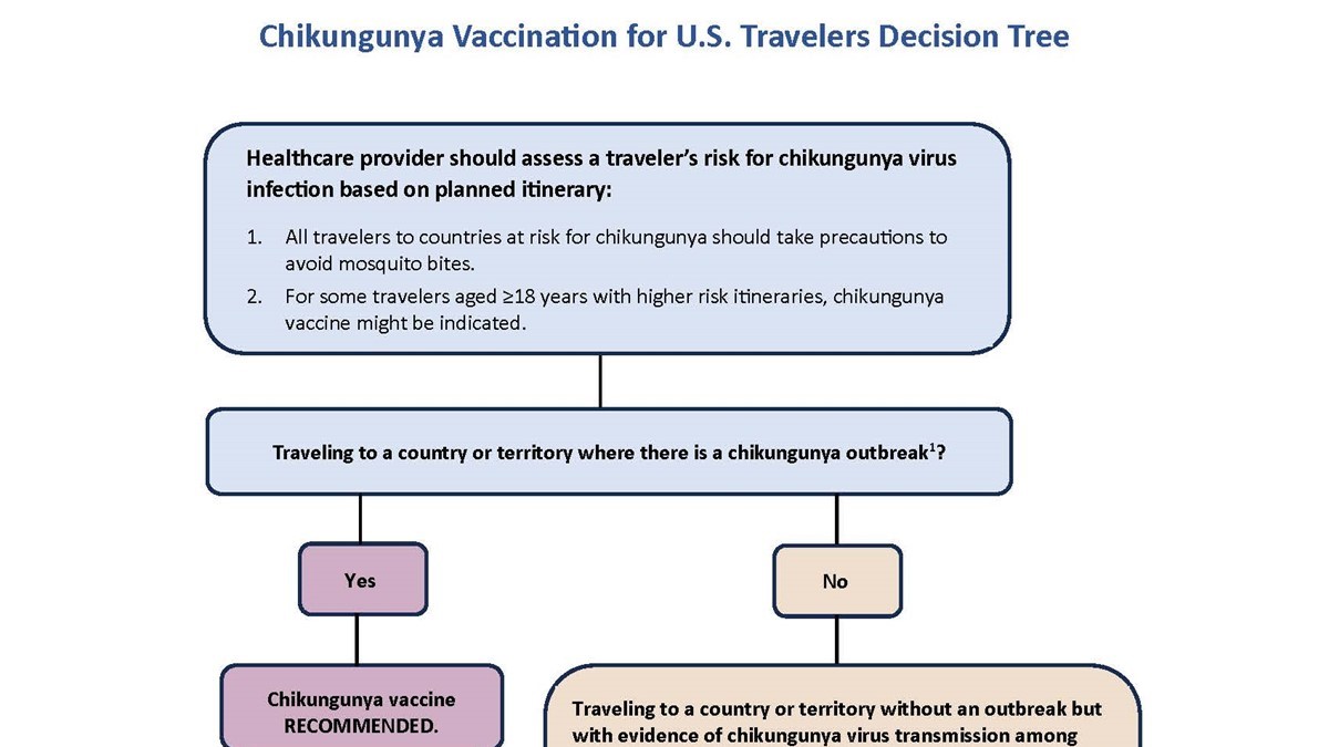 Decision tree for the chikungunya vaccine