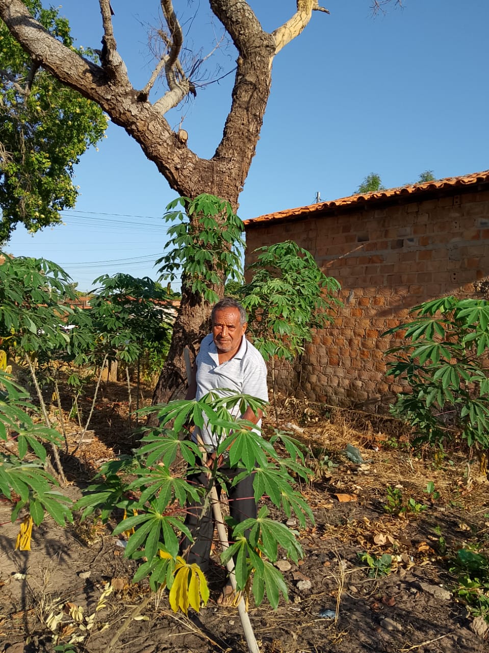 Gustavo Gustavo standing behind a tree on his farm.