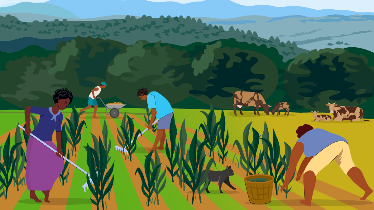 Neglected Tropical Diseases 2 Men and women working in a field.