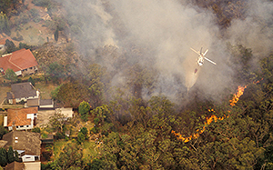 image.png A top-down view of a fire in a wooded area, creating a large amount of smoke near buildings and residencies.