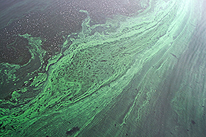 image.png Water Pollution