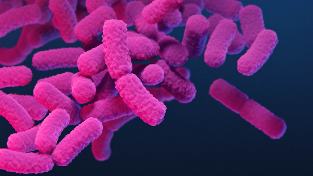 carbapenem-resistant Enterobacteriaceae (CRE) CRE can cause infections in patients in hospitals.
