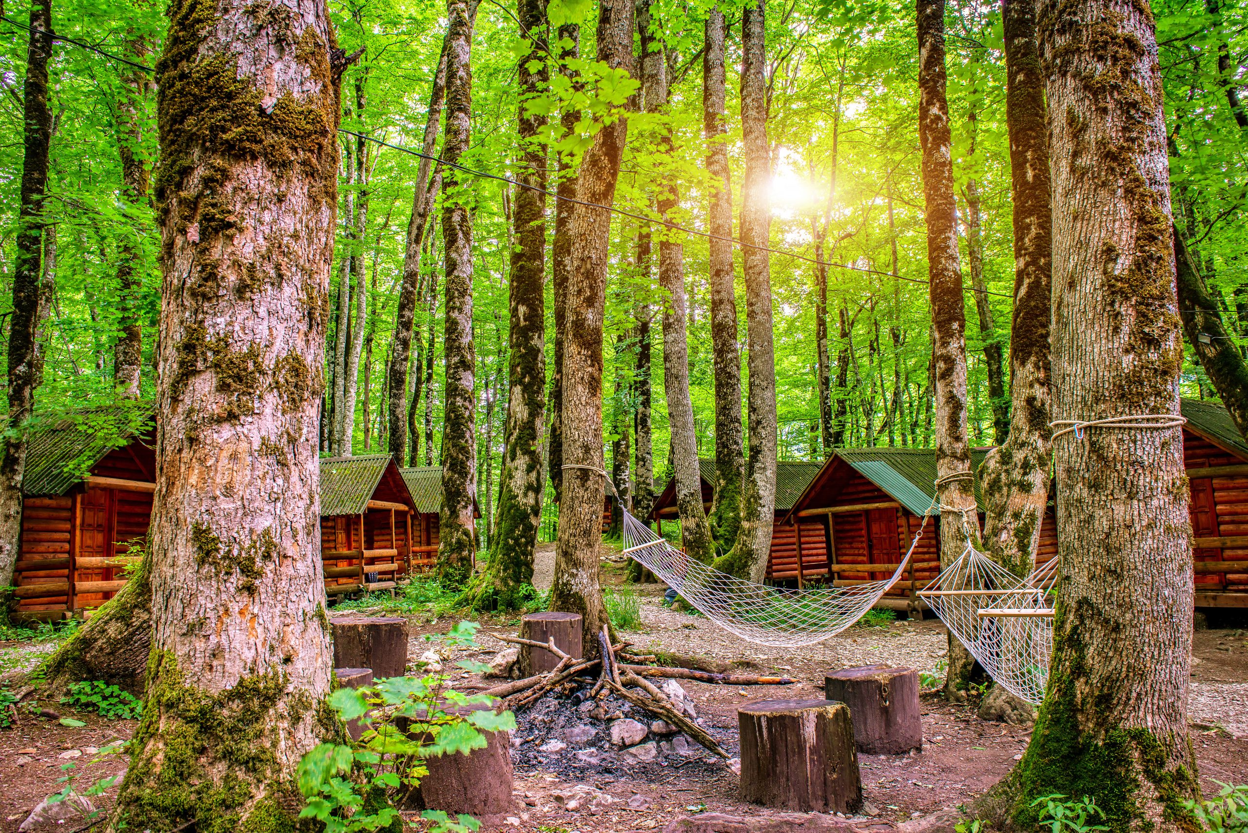 Cabins in the woods at a sleepaway camp.