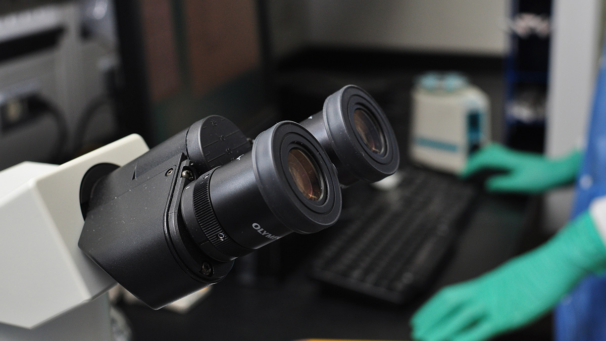 microscope Microscope