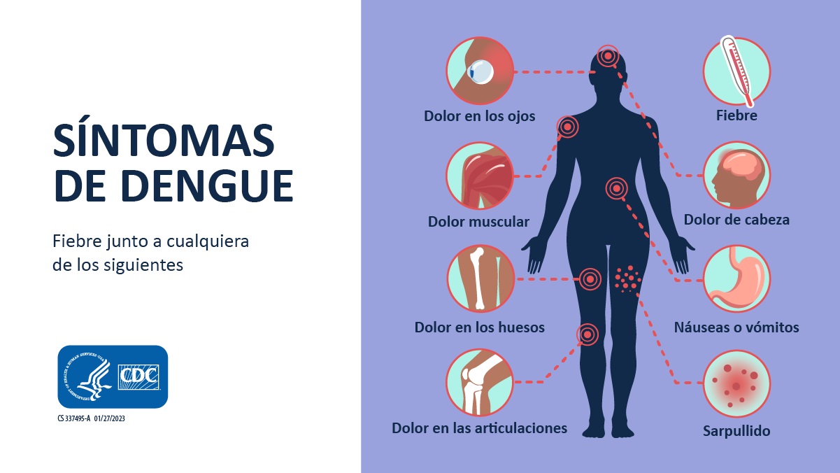 Silueta humana con gráficos y rótulos de los síntomas del dengue: dolor en los ojos, fiebre, dolores musculares, dolor de cabeza, dolor en los huesos, náuseas, vómitos, dolor en las articulaciones y sarpullido.