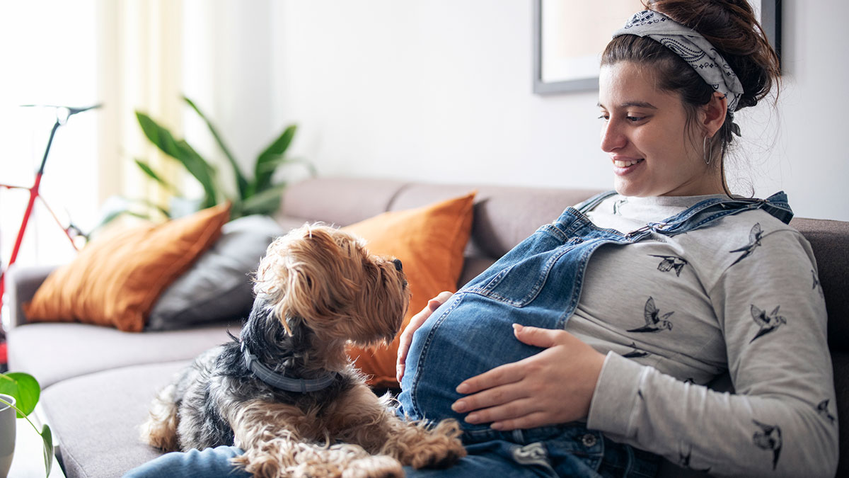 Pregnant woman and puppy Una mujer embarazada y su cachorrito