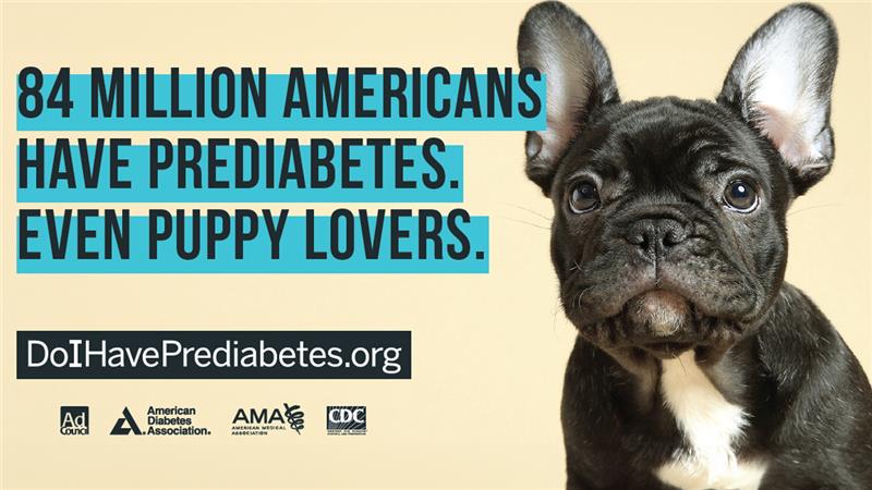 — title missing — 84 million Americans have prediabetes. Even puppy lovers.