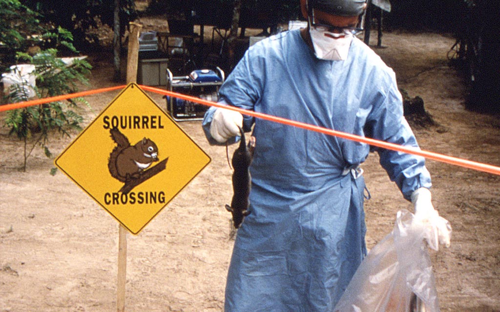 Giant Gambian rats are thought to have been responsible for other monkeypox outbreaks. This image is of an Epidemic Intelligence Service (EIS) officer investigating an outbreak of monkeypox in Africa in 1996-1997.