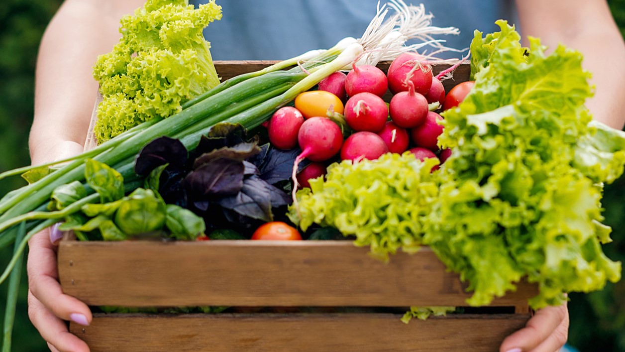 Box of fresh vegetables Adult holding wooden box full of fresh vegetables.