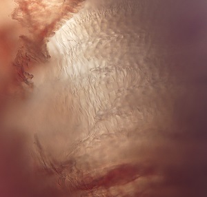 Gs_B Figure B