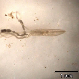 Case151_A.jpg